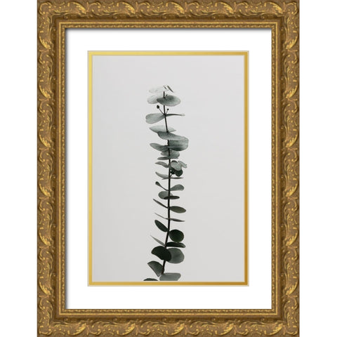 Eucalyptus Natural 02 Gold Ornate Wood Framed Art Print with Double Matting by 1x Studio III