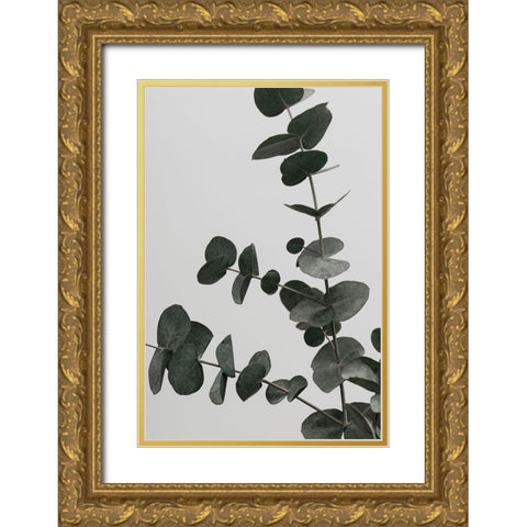 Eucalyptus Natural 05 Gold Ornate Wood Framed Art Print with Double Matting by 1x Studio III