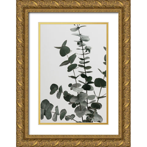 Eucalyptus Natural 07 Gold Ornate Wood Framed Art Print with Double Matting by 1x Studio III