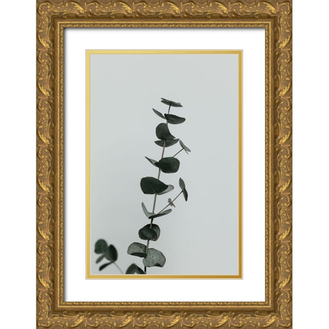 Eucalyptus Natural 10 Gold Ornate Wood Framed Art Print with Double Matting by 1x Studio III