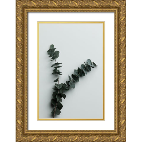 Eucalyptus Wall 02 Gold Ornate Wood Framed Art Print with Double Matting by 1x Studio III