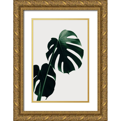 Monstera Natural 03 Gold Ornate Wood Framed Art Print with Double Matting by 1x Studio III