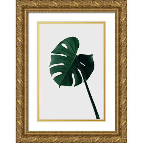 Monstera Natural 07 Gold Ornate Wood Framed Art Print with Double Matting by 1x Studio III