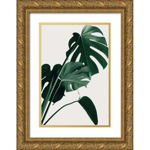 Monstera Natural 22 Gold Ornate Wood Framed Art Print with Double Matting by 1x Studio III