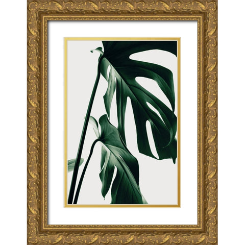 Monstera Natural 27 Gold Ornate Wood Framed Art Print with Double Matting by 1x Studio III