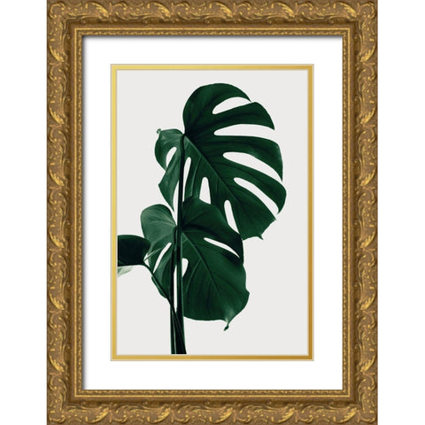 Monstera Natural 28 Gold Ornate Wood Framed Art Print with Double Matting by 1x Studio III
