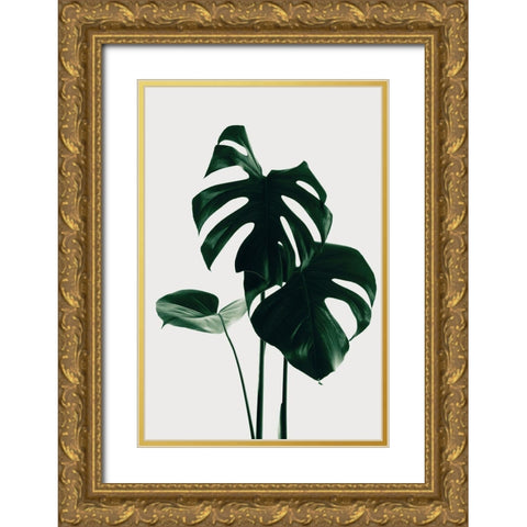 Monstera Natural 29 Gold Ornate Wood Framed Art Print with Double Matting by 1x Studio III