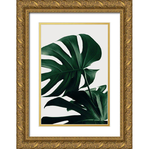 Monstera Natural 34 Gold Ornate Wood Framed Art Print with Double Matting by 1x Studio III