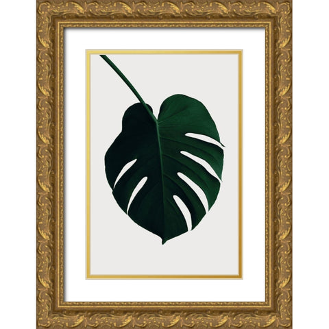 Monstera Natural 35 Gold Ornate Wood Framed Art Print with Double Matting by 1x Studio III