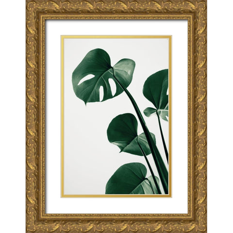 Monstera Natural 38 Gold Ornate Wood Framed Art Print with Double Matting by 1x Studio III