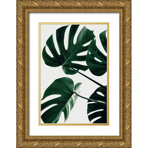 Monstera Natural 43 Gold Ornate Wood Framed Art Print with Double Matting by 1x Studio III