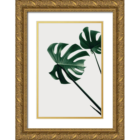 Monstera Natural 47 Gold Ornate Wood Framed Art Print with Double Matting by 1x Studio III