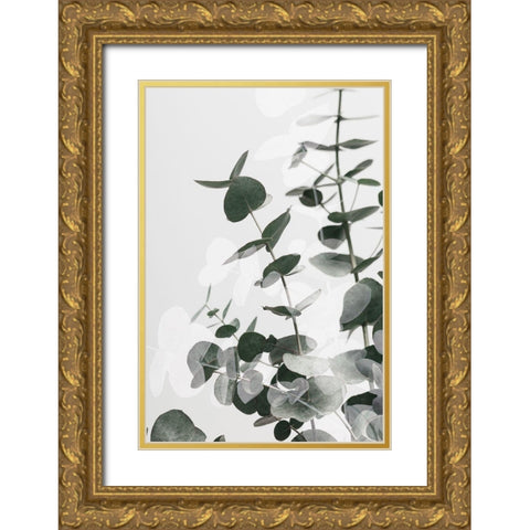 Eucalyptus Creative 03 Gold Ornate Wood Framed Art Print with Double Matting by 1x Studio III