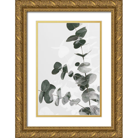 Eucalyptus Creative 04 Gold Ornate Wood Framed Art Print with Double Matting by 1x Studio III