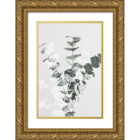 Eucalyptus Creative 07 Gold Ornate Wood Framed Art Print with Double Matting by 1x Studio III