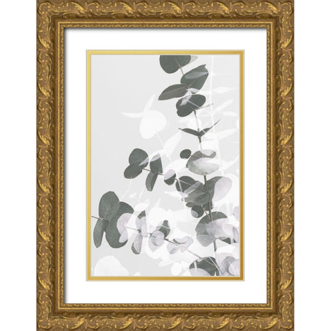 Eucalyptus Creative 09 Gold Ornate Wood Framed Art Print with Double Matting by 1x Studio III