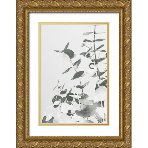 Eucalyptus Creative 10 Gold Ornate Wood Framed Art Print with Double Matting by 1x Studio III
