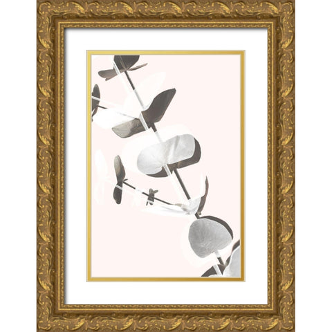 Eucalyptus Creative 13 Gold Ornate Wood Framed Art Print with Double Matting by 1x Studio III