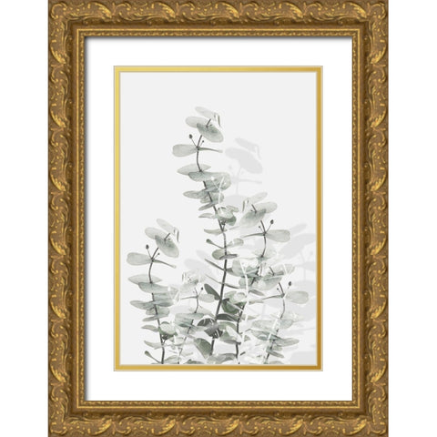 Eucalyptus Creative 15 Gold Ornate Wood Framed Art Print with Double Matting by 1x Studio III