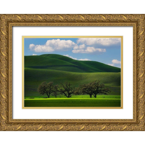 Bliss Gold Ornate Wood Framed Art Print with Double Matting by Sapkal, Tanmay