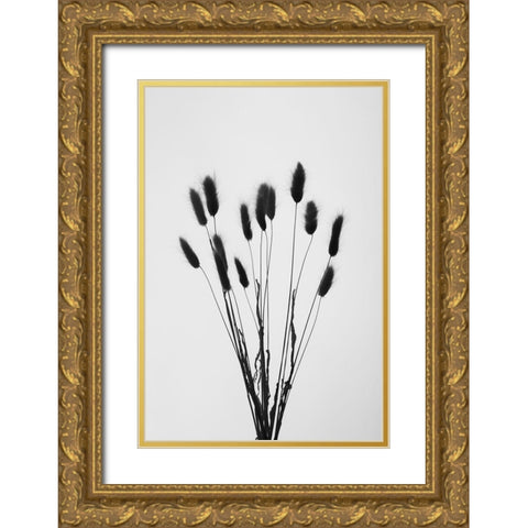 Bunny Grass No 2 Gold Ornate Wood Framed Art Print with Double Matting by 1x Studio III
