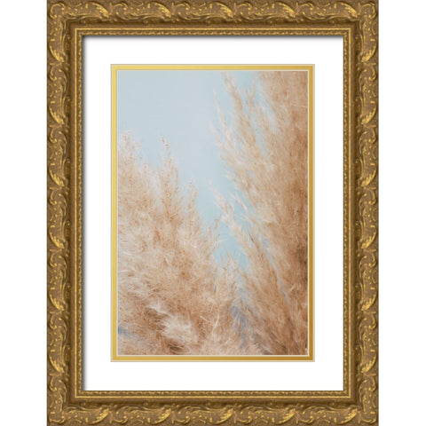 Pampas Close 01 Gold Ornate Wood Framed Art Print with Double Matting by 1x Studio III