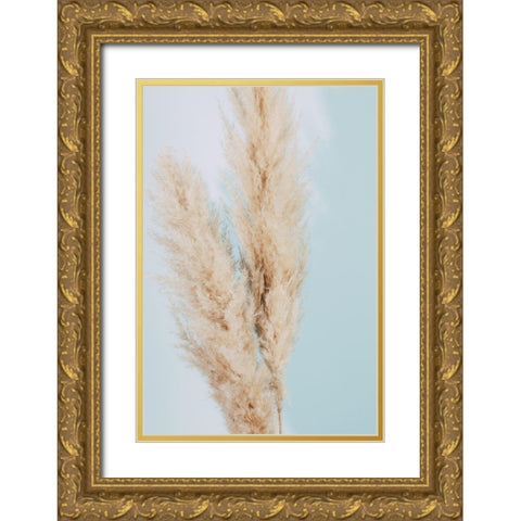 Pampas Grass Blue 02 Gold Ornate Wood Framed Art Print with Double Matting by 1x Studio III