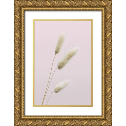 Bunny Grass Pink 03 Gold Ornate Wood Framed Art Print with Double Matting by 1x Studio III