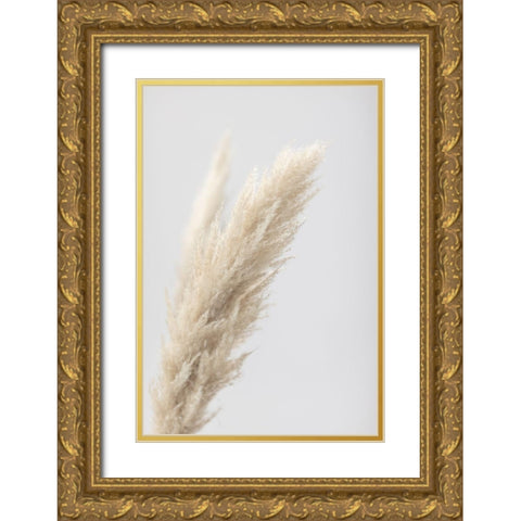 Pampas Grass Grey 07 Gold Ornate Wood Framed Art Print with Double Matting by 1x Studio III