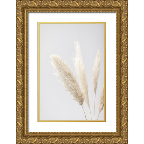 Pampas Grass Grey 08 Gold Ornate Wood Framed Art Print with Double Matting by 1x Studio III