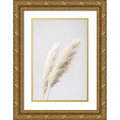 Pampas Grass Grey 13 Gold Ornate Wood Framed Art Print with Double Matting by 1x Studio III