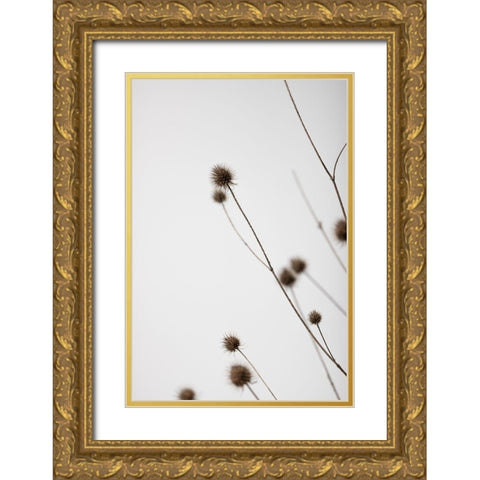 Thistle Grey 03 Gold Ornate Wood Framed Art Print with Double Matting by 1x Studio III