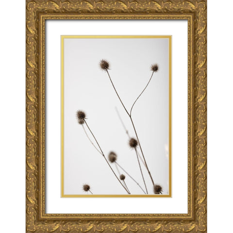 Thistle Grey 04 Gold Ornate Wood Framed Art Print with Double Matting by 1x Studio III