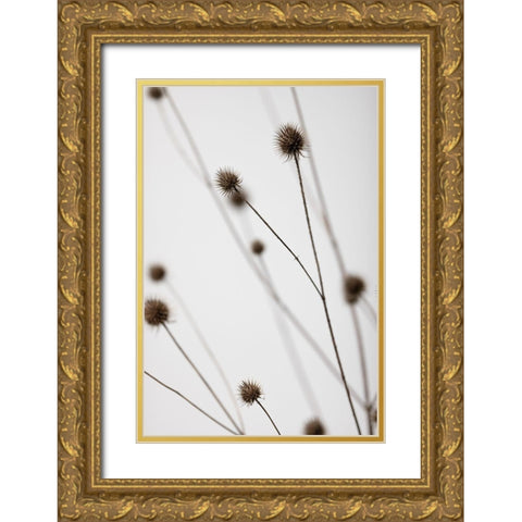 Thistle Grey 05 Gold Ornate Wood Framed Art Print with Double Matting by 1x Studio III