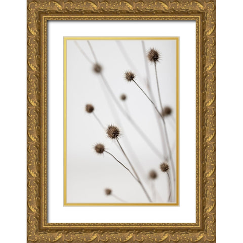 Thistle Grey 06 Gold Ornate Wood Framed Art Print with Double Matting by 1x Studio III
