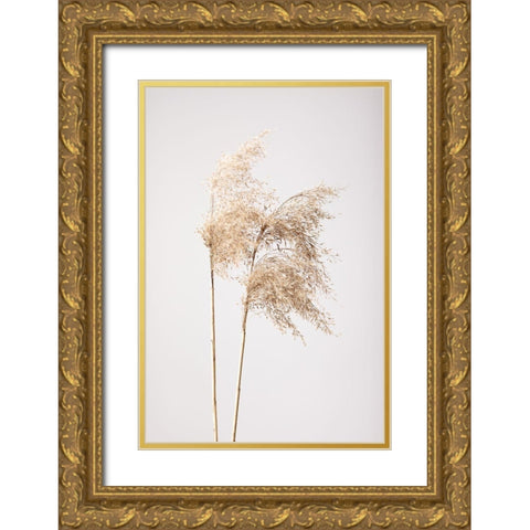 Reed Grass Grey 02 Gold Ornate Wood Framed Art Print with Double Matting by 1x Studio III