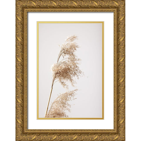 Reed Grass Grey 03 Gold Ornate Wood Framed Art Print with Double Matting by 1x Studio III