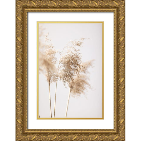 Reed Grass Grey 09 Gold Ornate Wood Framed Art Print with Double Matting by 1x Studio III