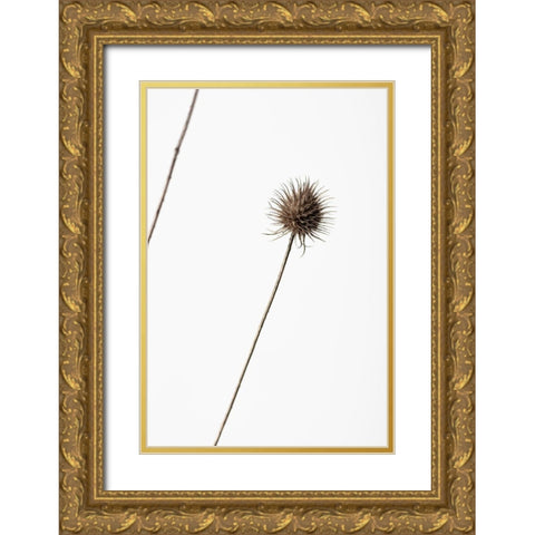 Thistle Grey 08 Gold Ornate Wood Framed Art Print with Double Matting by 1x Studio III