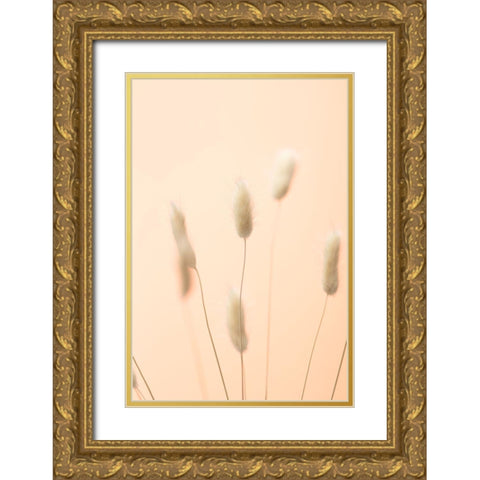 Bunny Grass Peach 04 Gold Ornate Wood Framed Art Print with Double Matting by 1x Studio III