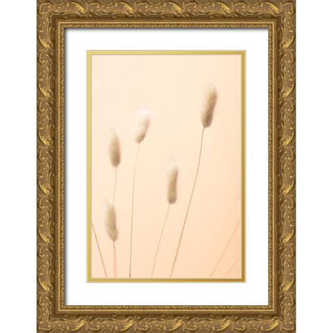 Bunny Grass Peach 05 Gold Ornate Wood Framed Art Print with Double Matting by 1x Studio III