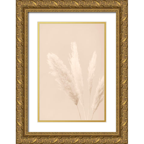Pampas Grass Beige 06 Gold Ornate Wood Framed Art Print with Double Matting by 1x Studio III