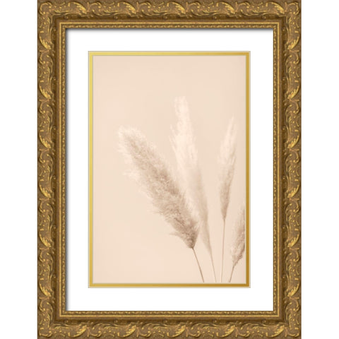 Pampas Grass Beige 08 Gold Ornate Wood Framed Art Print with Double Matting by 1x Studio III