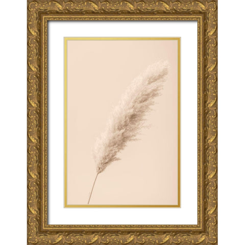 Pampas Grass Begie 14 Gold Ornate Wood Framed Art Print with Double Matting by 1x Studio III