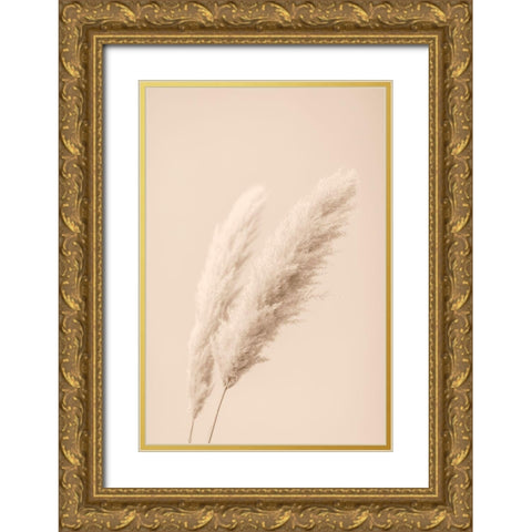 Pampas Grass Begie 15 Gold Ornate Wood Framed Art Print with Double Matting by 1x Studio III