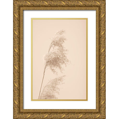 Reed Grass Beige 03 Gold Ornate Wood Framed Art Print with Double Matting by 1x Studio III