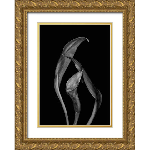 Dancing Calla Lillies Gold Ornate Wood Framed Art Print with Double Matting by Beausang, Susan