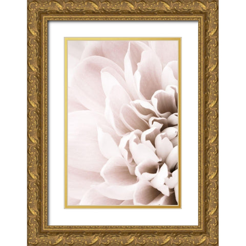 Chrysanthemum No 02 Gold Ornate Wood Framed Art Print with Double Matting by 1x Studio III