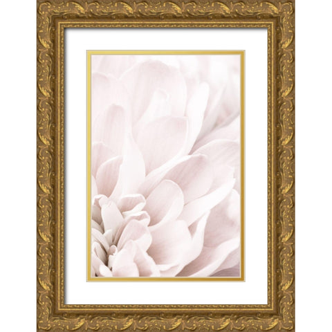 Chrysanthemum No 04 Gold Ornate Wood Framed Art Print with Double Matting by 1x Studio III
