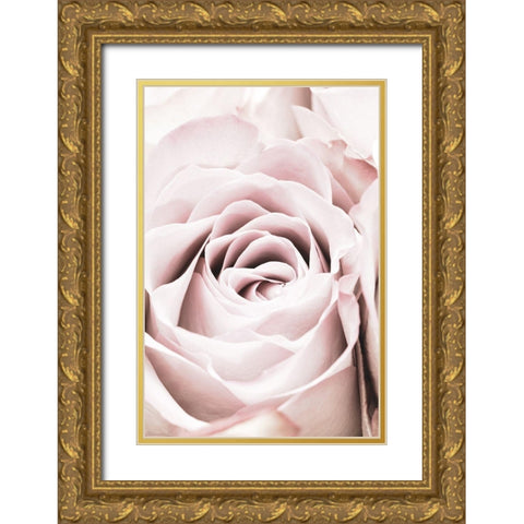 Pink Rose No 06 Gold Ornate Wood Framed Art Print with Double Matting by 1x Studio III
